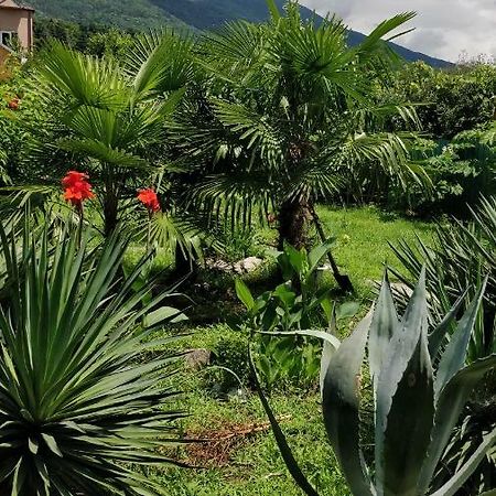 Tikhaya Gavan Guest House Gagra Esterno foto