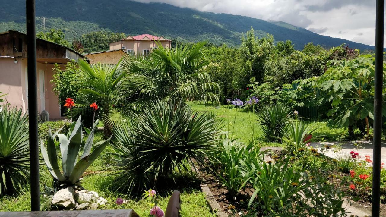 Tikhaya Gavan Guest House Gagra Esterno foto